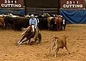 CD Sonita<br>AQHA 4716164