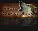 Image Coming Soon!